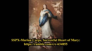 Fr. Ruiz, 2025 12 08 LA INMACULADA Y EL ORDEN DIVINO DE GERARQUIA Fiesta Inmaculada Concepción