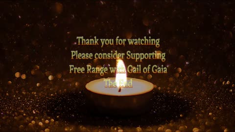 "American Plight For the Light & The World" with Gail of Gaia