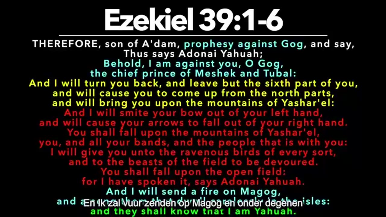 WE ARE NOT BLACK PEOPLE!! DOCU-SERIES PT.4 (Dutch/NL Subs)