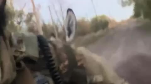 Ukrainian Soldiers Rescue a Russian Military Donkey