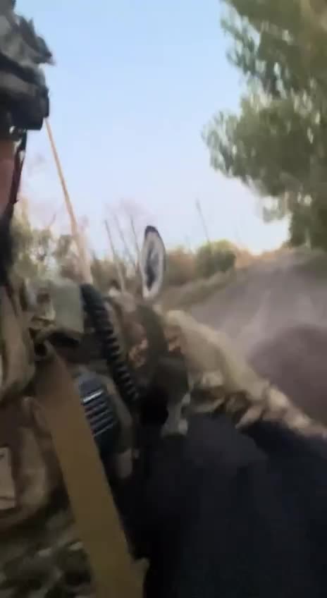 Ukrainian Soldiers Rescue a Russian Military Donkey