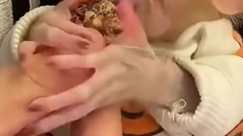 She Was Just a Lost Baby… Now She’s Loved Like a Child.