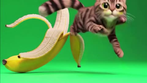 The Banana Snobs - Banana Banana Banana
