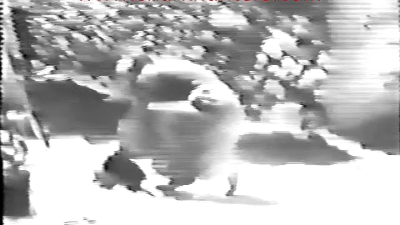 D110. Das Blaue Licht2