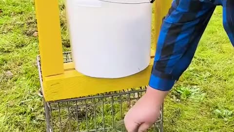 Warm Juicy Apple Drink for Cold Winter Days