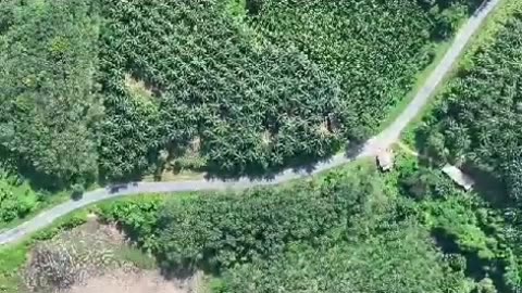 💣🇲🇲 Myanmar War | Colonel's Army Drone Bombs SSPC | RCF