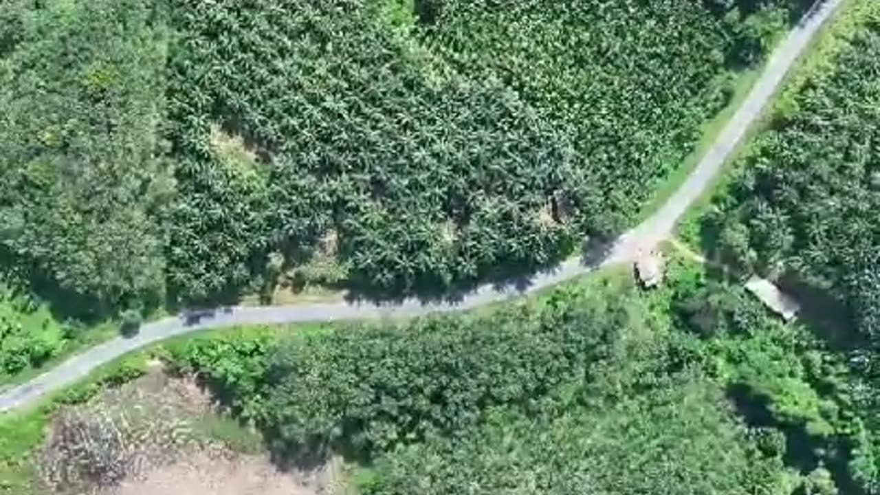 💣🇲🇲 Myanmar War | Colonel's Army Drone Bombs SSPC | RCF