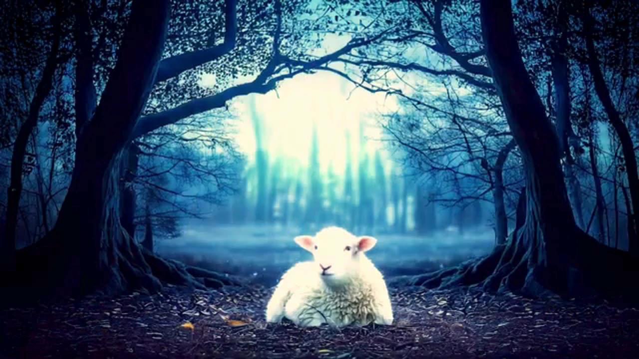Fantastic video of the fall of a human being, part 12