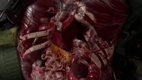 Sniper Elite Resistance