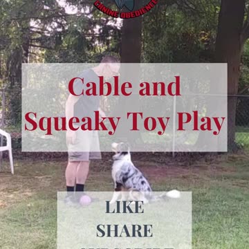 Cable and the squeaky toy 1