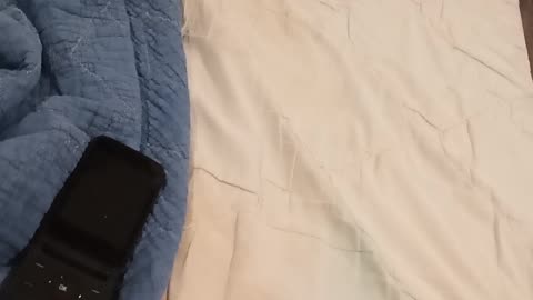 Kimberley Kellogg contradicted herself, again