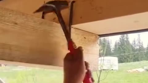 💡✨ A Clever Hack You'll Wish You Knew Sooner | LifeHacksDaily