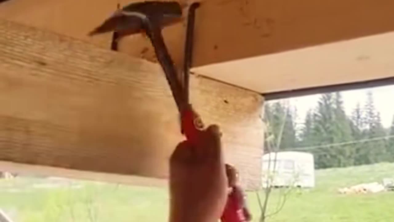 💡✨ A Clever Hack You'll Wish You Knew Sooner | LifeHacksDaily