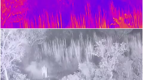 BSF foiled an infiltration attempt in the Samba sector