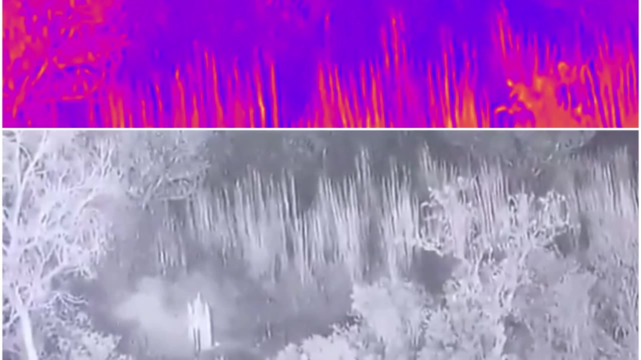 BSF foiled an infiltration attempt in the Samba sector