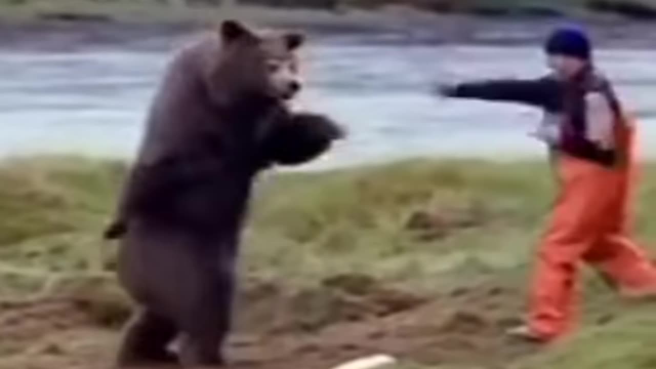 Bear kunfu fight with human/funny fight 🤣😂