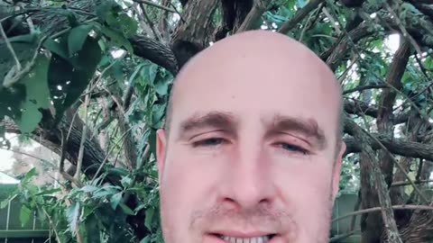 You Won't Believe this Affiliate Program