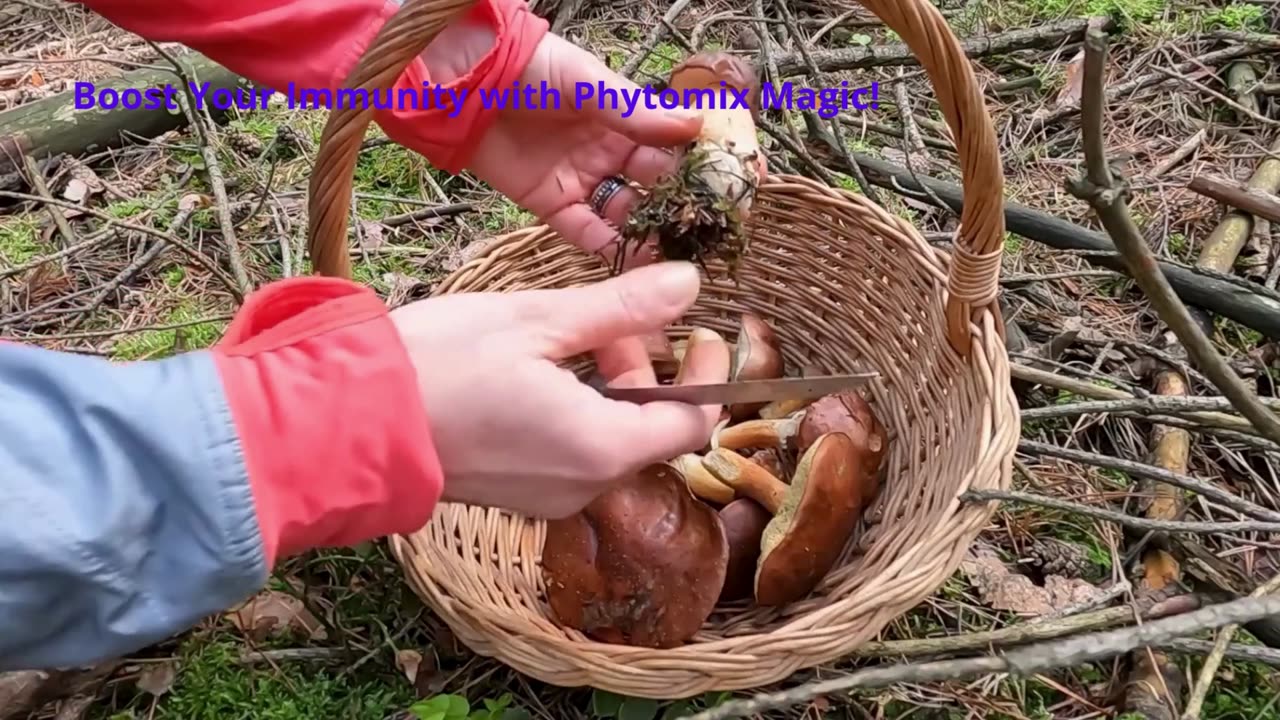 “Tonic Greens: The Ultimate Natural Health Booster!”