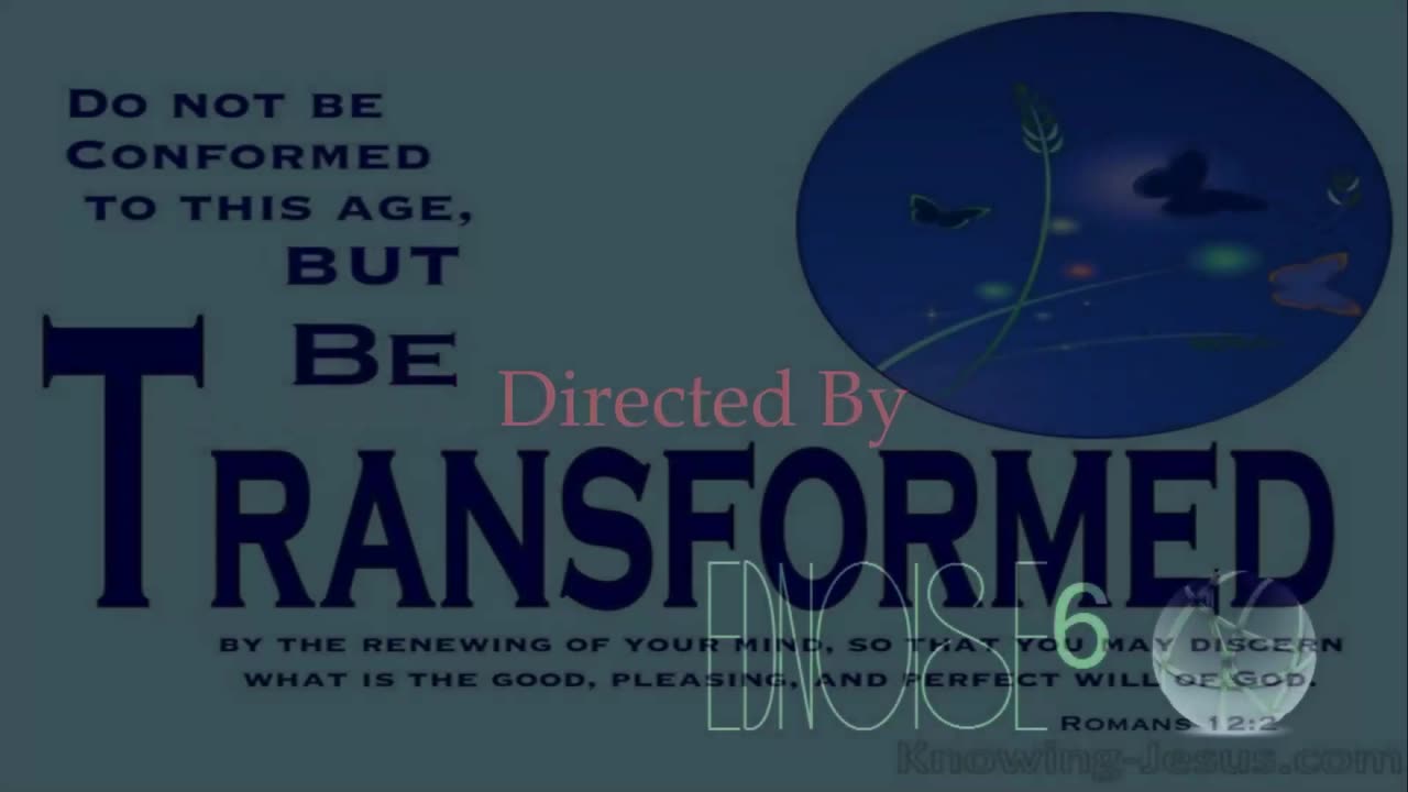 Rare of Breed ~ Not the Same { Live + Lyrics } Remix 1 { Dance Ver. } Christcore Slowed PC FX