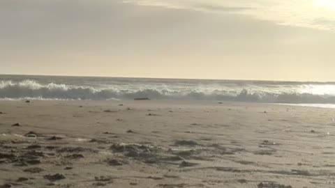Shimmering Beach Sunset