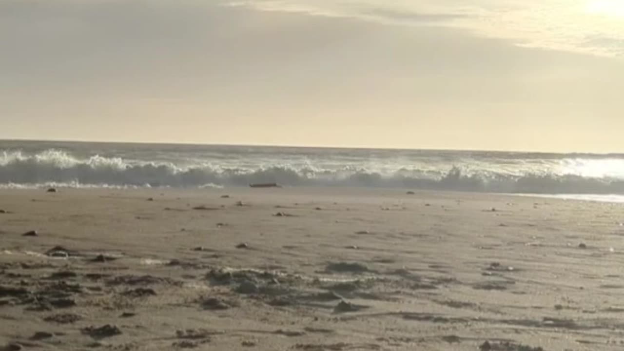 Shimmering Beach Sunset