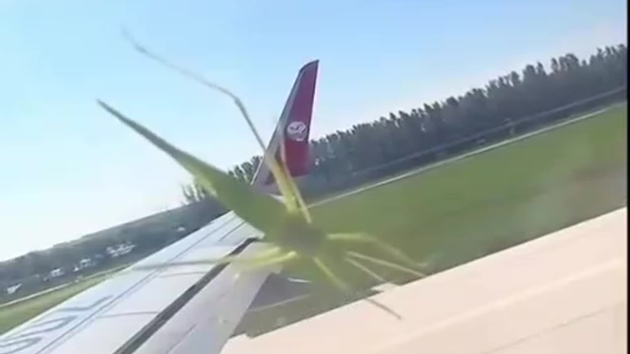 RAIDER IN THE MORNING