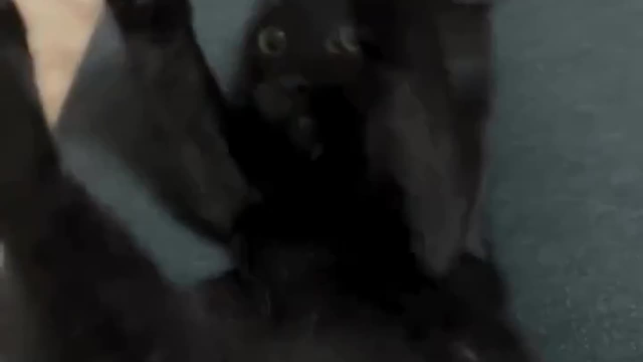 😂