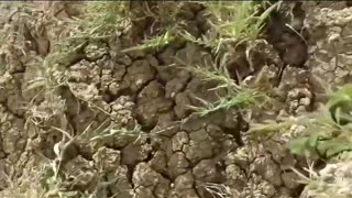 🔥💥 Myanmar War | 4th Battalion Combat in Pakkoku District | RCF