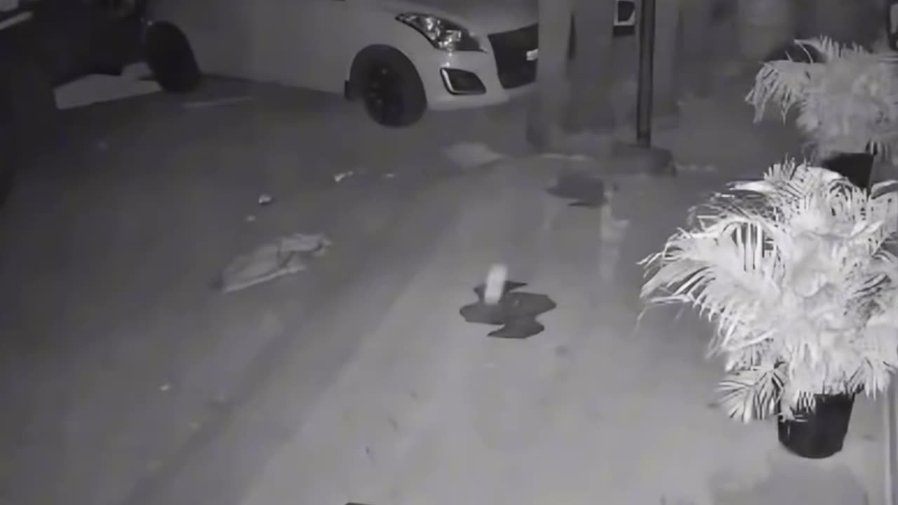 Funny 😂 viral video