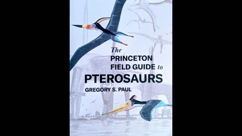 Pterosaur sightings in Texas?