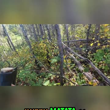 Canadian Wilderness_ Making Noise & Hakuna Matata Philosophy! #livingoffgrid