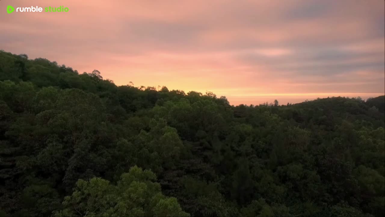 rest with our live peaceful sound