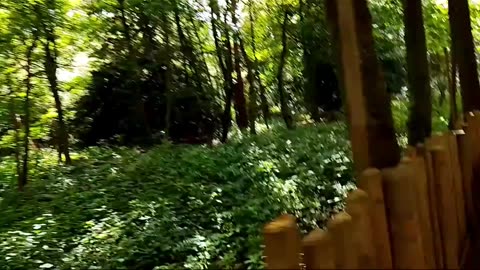 POV: you're looping Alton Tower's TH13TEEN. (Insanity maxxing)