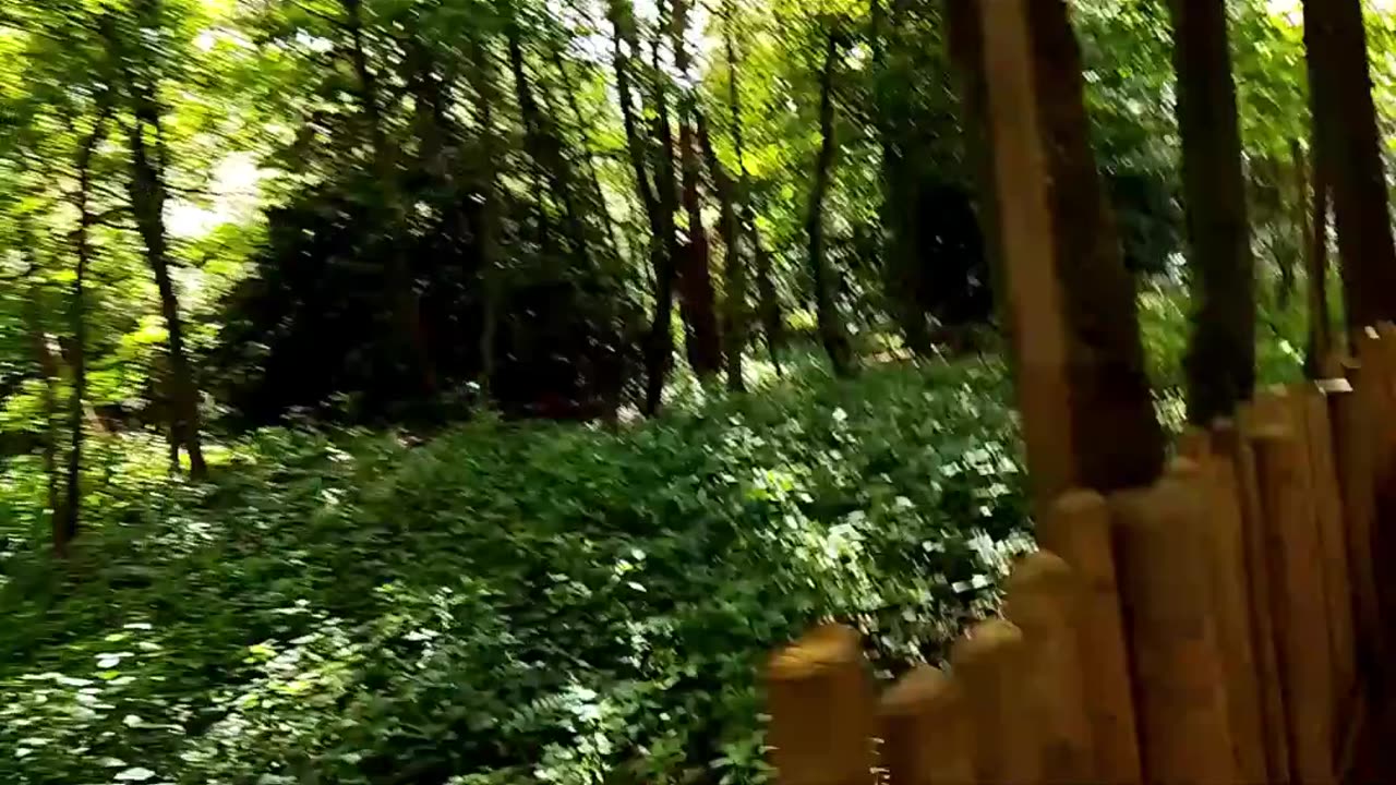 POV: you're looping Alton Tower's TH13TEEN. (Insanity maxxing)