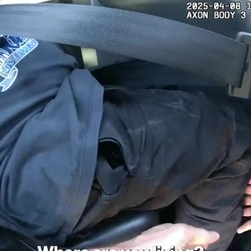Police Body Cam Shows Actor Haley Joel Osment Calling Officer a 'Nazi' During Anti-Jewish Rant
