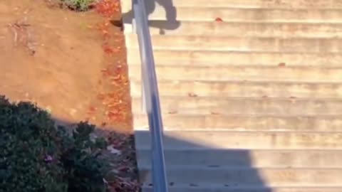 🤯🔥 Little Kristion Hits El Toro! You Gotta See This | SkateNation