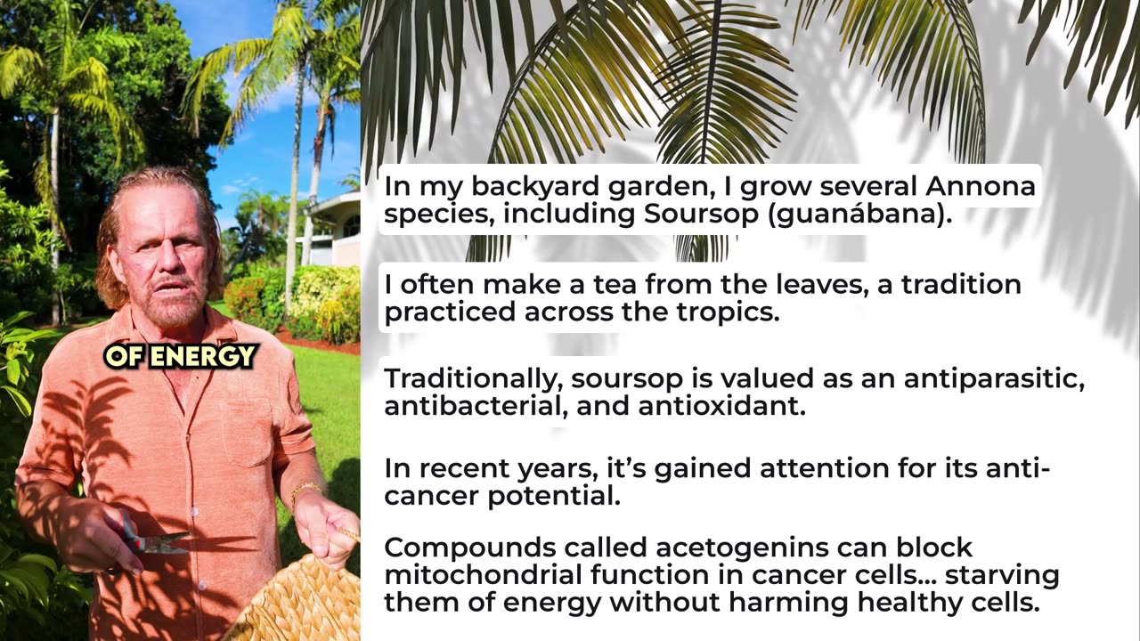 Backyard Cancer-Fighting Plant?