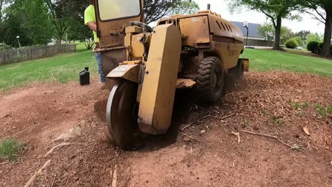 How to Grind a Stump with a Stump Machine