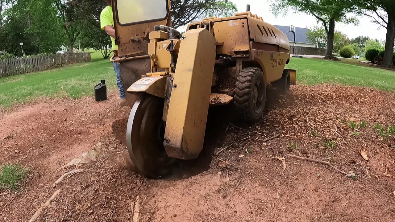 How to Grind a Stump with a Stump Machine
