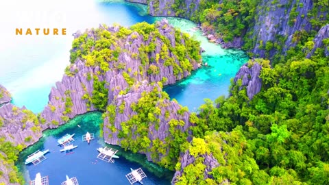 Amazing Nature Video