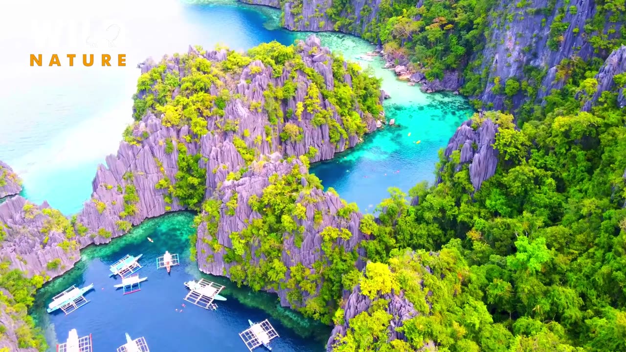 Amazing Nature Video