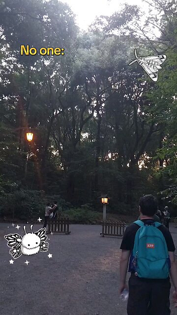 taking pics of lamps in Japan