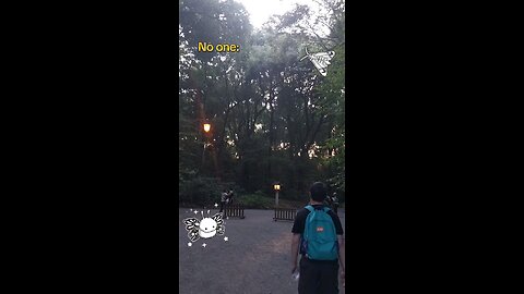 taking pics of lamps in Japan