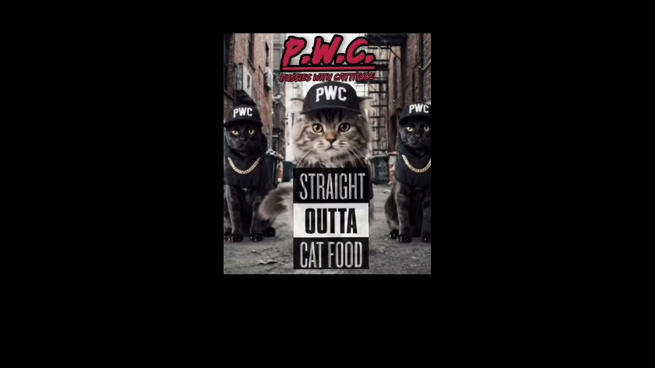 Straight Outta Cat Food