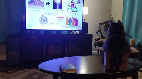 Smokey watching and listening Bible related video