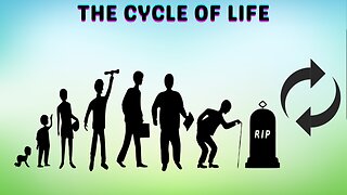 The Cycle of Life