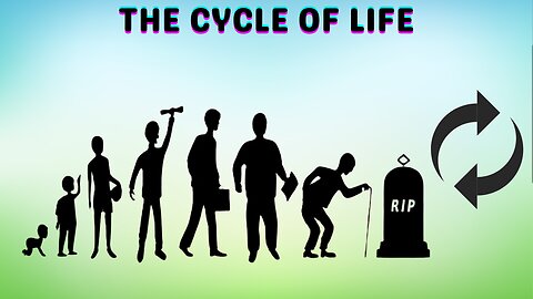The Cycle of Life