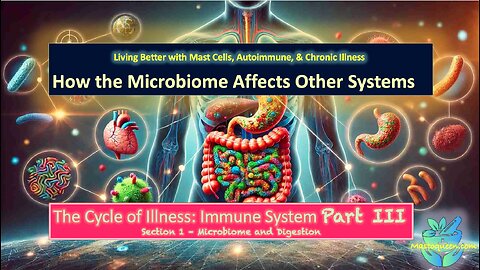 Cycle of Illness: Immune System - Microbiome and Digestion