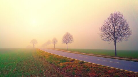 White Noise (Black Screen) | High-Quality Ambient Sound for Relaxation