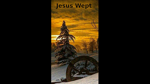 Aaron 🦊 521 ~ Jesus Wept